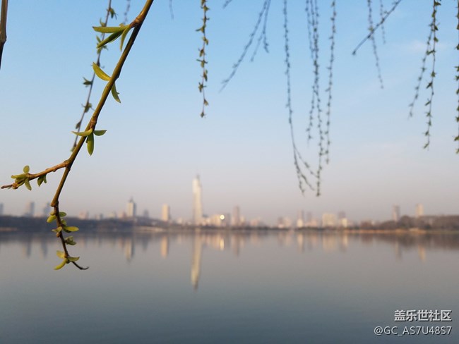南京玄武湖早晨随拍(还有这么个地方,下次来多学习)