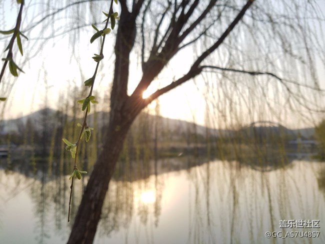 南京玄武湖早晨随拍(还有这么个地方,下次来多学习)
