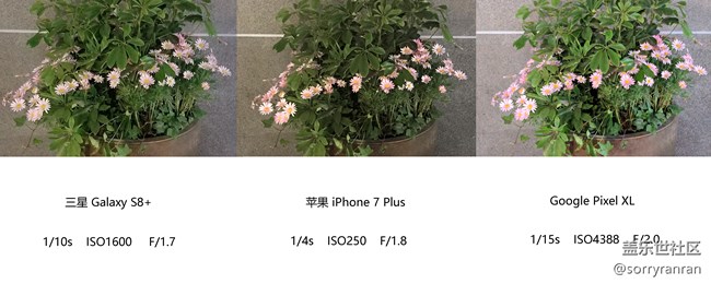 真の登顶！三星S8+|苹果7 Plus|Google Pixel XL拍照对比评测