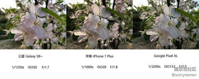 真の登顶！三星S8+|苹果7 Plus|Google Pixel XL拍照对比评测