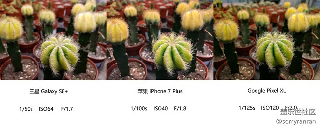 真の登顶！三星S8+|苹果7 Plus|Google Pixel XL拍照对比评测