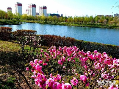 北疆早春----俏也不争春，只把春来报