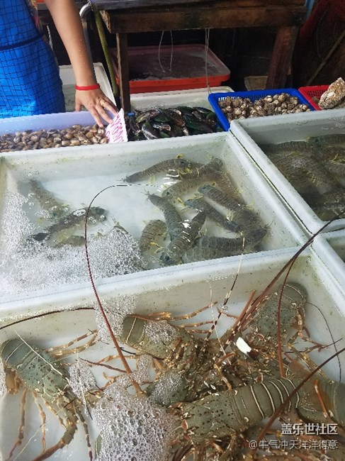 拍才知道+泰国海鲜市场
