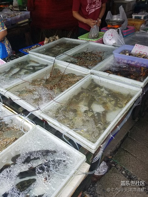 拍才知道+泰国海鲜市场