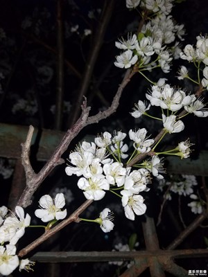 花