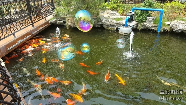 五一，大家都出去浪了吗？