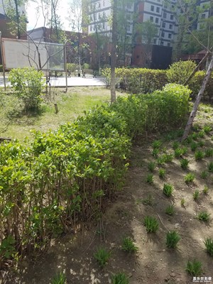 小区