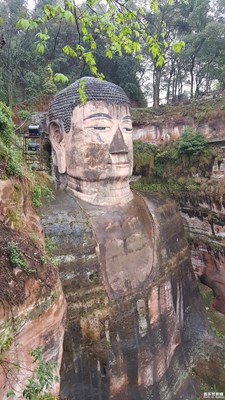 一路旅行一路晒+成都+乐山行