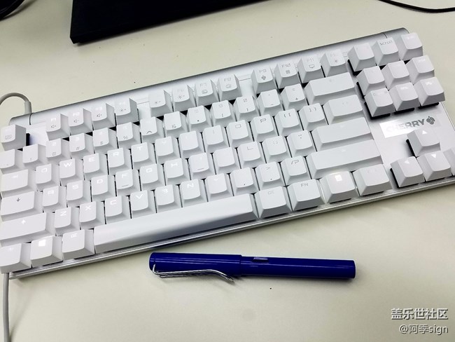 #我是极客# Cherry首款87键游戏键盘-MXBoard 8.0