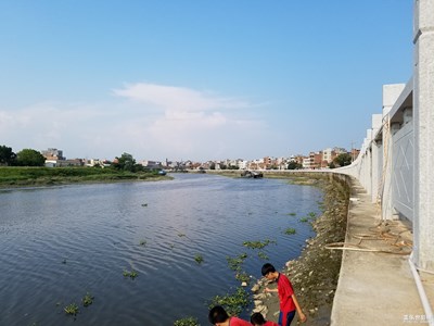 我眼中的安铺+九洲江