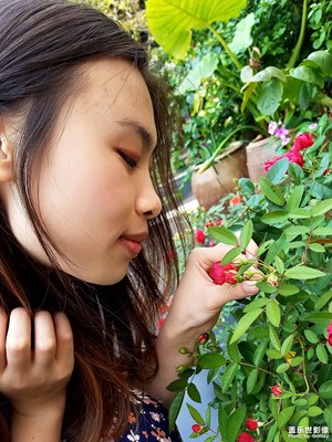 一路旅行一路晒+大鹏所城+随手拍