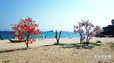 一路旅行一路晒+深圳+海与夜