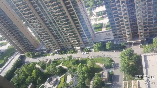 阳光不错，随拍