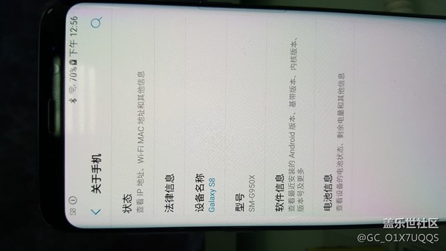 G950X是个什么版本，但是人民币4800的价格真好啊