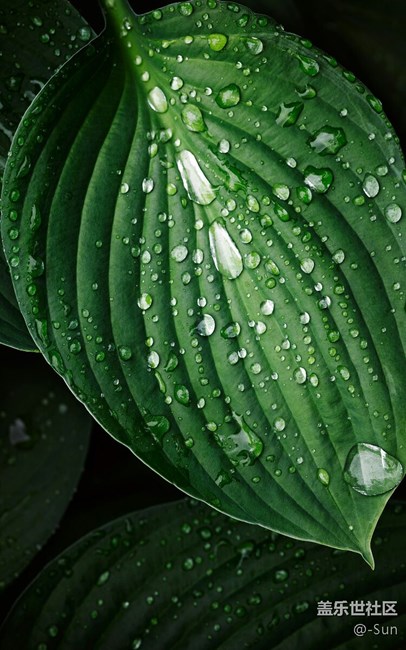 贡献几款好看的壁纸