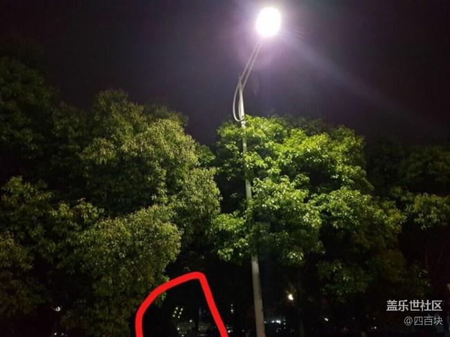 s8+夜拍有光影