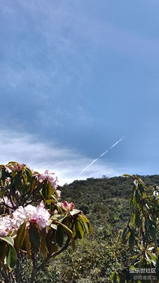 随便发发