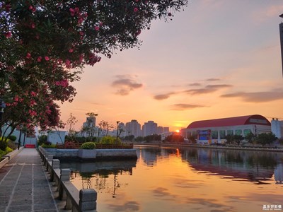 《初夏风情画》+厦门+漫步筼筜湖，听听花开的声音