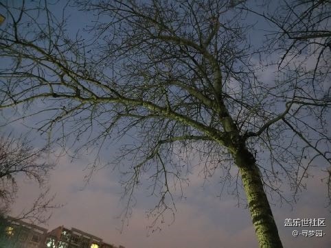 说出来你可能不信 完全不输专业相机的 盖乐世 S7 Edge