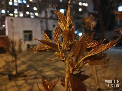 说出来你可能不信 完全不输专业相机的 盖乐世 S7 Edge