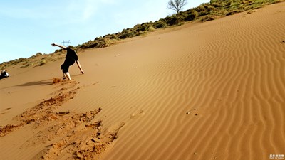 沙漠化