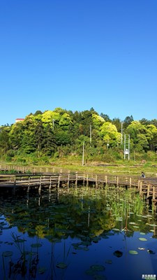 高山