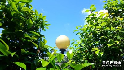 Note5拍照还是不落后的