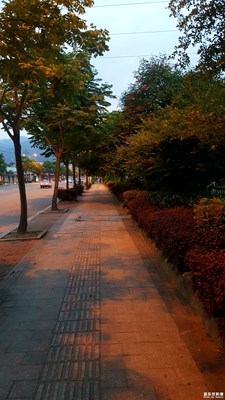 跑步去