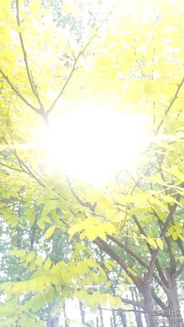 note5拍照瞎设置模式