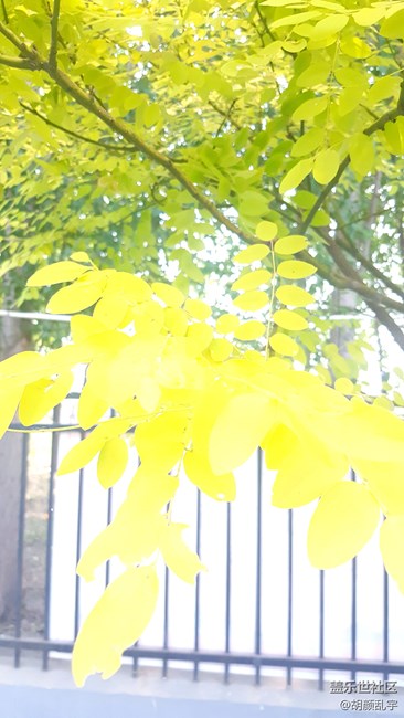 note5拍照瞎设置模式