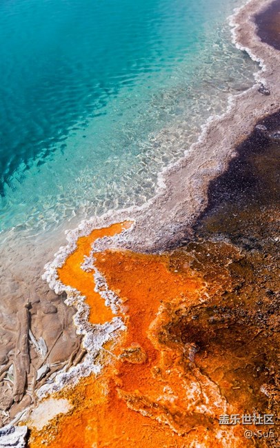 不发更新，发壁纸