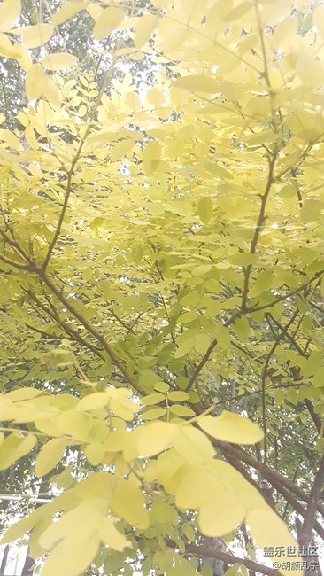 note5拍照瞎设置模式