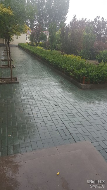 note5拍照清晰度很高……下雨