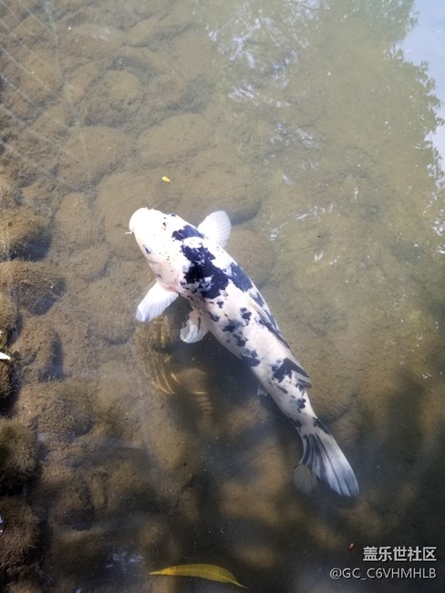 GalaxyS8|S8+机皇降临，简单可靠，更胜一筹