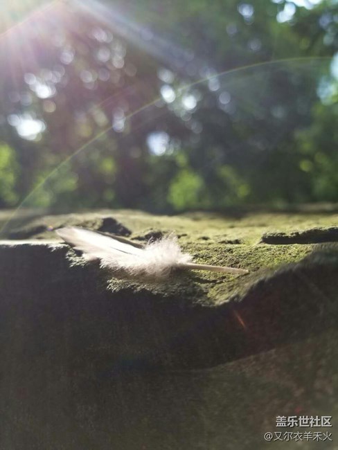 重庆办3小区——销售案例分享