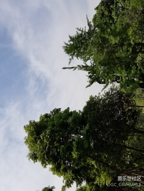 GalaxyS8|S8+机皇降临，简单可靠，更胜一筹