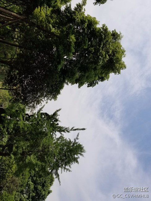 GalaxyS8|S8+机皇降世，简单可靠，更胜一筹