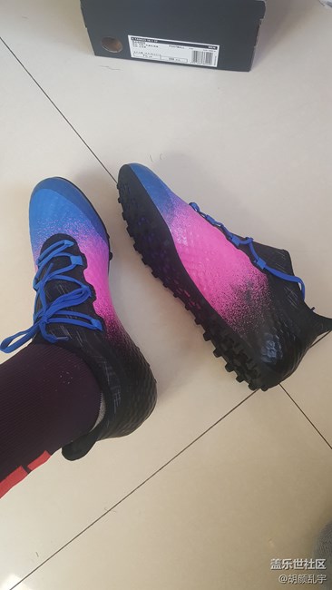 拍照：色彩还原度