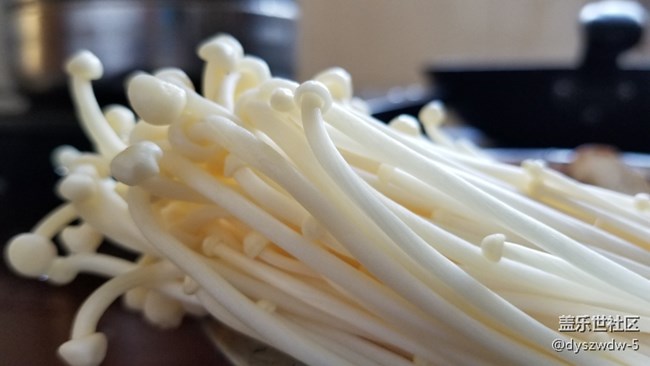 随手拍几张，看看手机端反应如何？