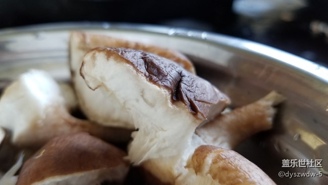 随手拍几张，看看手机端反应如何？