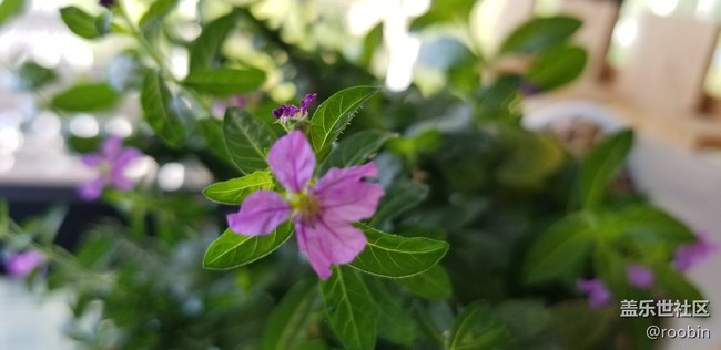 【S8晒单】因为颜值入手S8