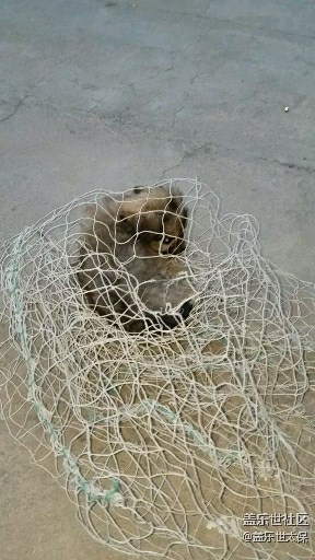 被套了