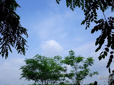 Note5摄像头一如既往的强悍