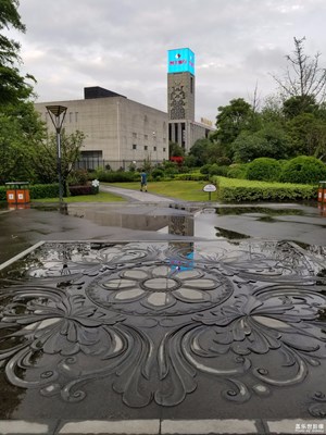 雨后路边拾景