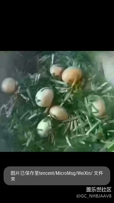 求助，如何保存图片