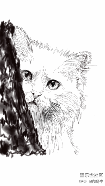 嗯，发上来献献丑，要不版面全是7.0