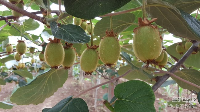 上一组高清美图