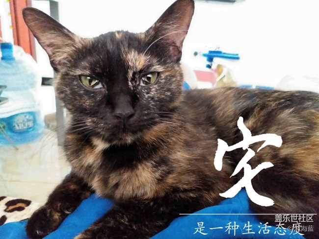 拍照太渣了