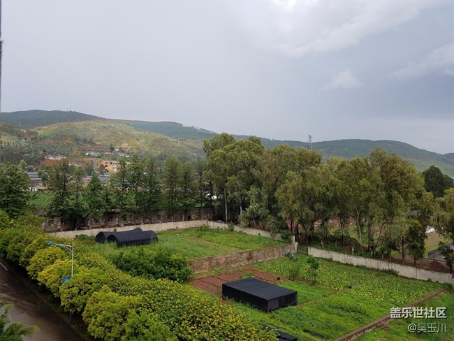 这个相机是不是出问题了，感觉远方的树放大变得好模糊