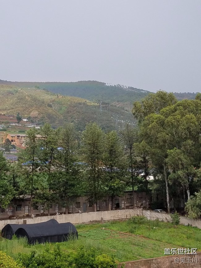 这个相机是不是出问题了，感觉远方的树放大变得好模糊